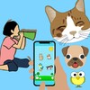 Talk国际短视频